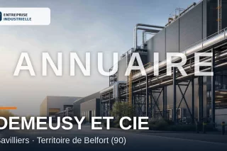 DEMEUSY ET CIE, entreprise industrielle à Bavilliers (90)